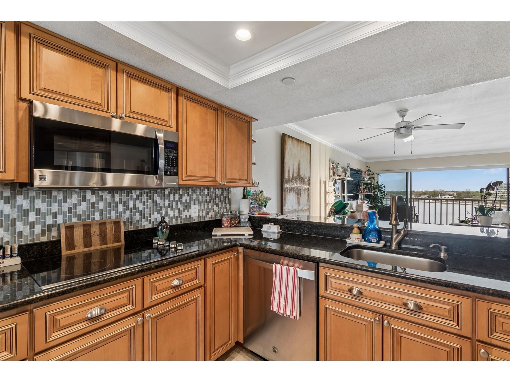 2 Adalia Avenue #704 Tampa FL 33606 - HILLSBOROUGH BAY TB8484507 image11