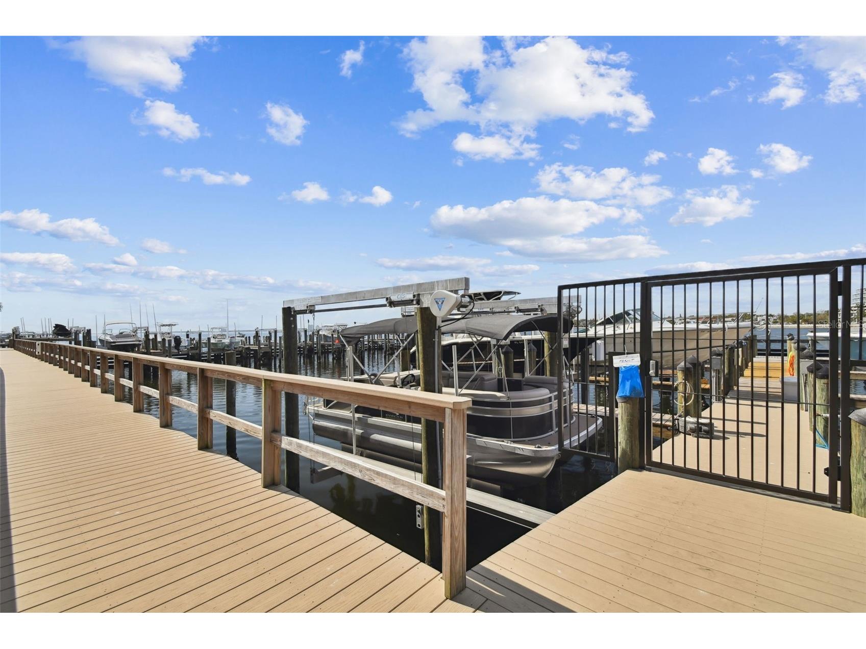2 Adalia Avenue #704 Tampa FL 33606 - HILLSBOROUGH BAY TB8484507 image37
