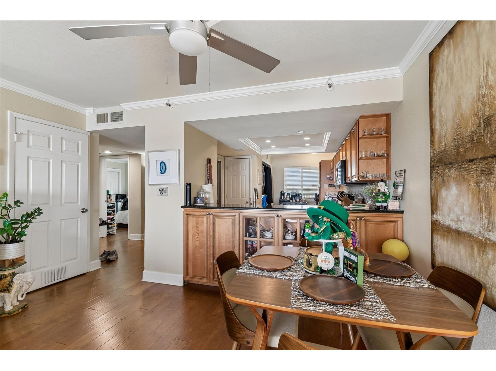 2 Adalia Avenue #704 Tampa FL 33606 - HILLSBOROUGH BAY TB8484507 image9