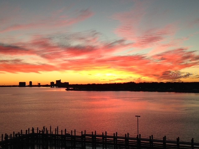 2 Adalia Avenue #802 Tampa FL 33606 TB8449045 image10