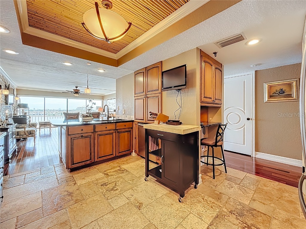 2 Adalia Avenue #802 Tampa FL 33606 TB8449045 image15