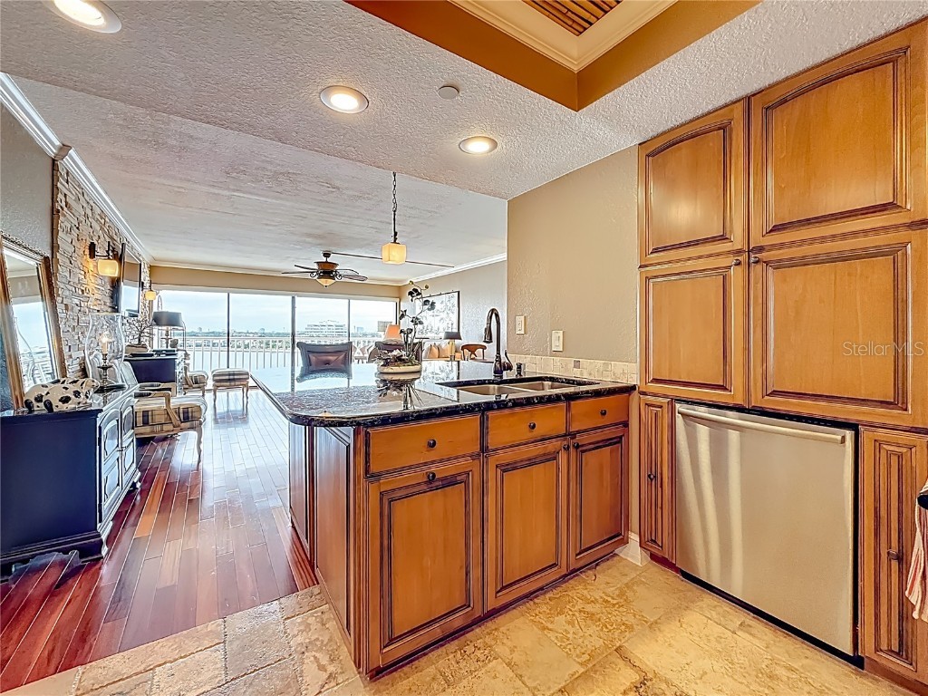 2 Adalia Avenue #802 Tampa FL 33606 TB8449045 image16