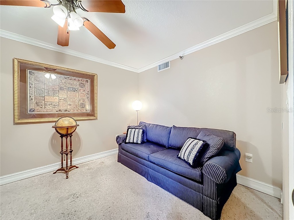 2 Adalia Avenue #802 Tampa FL 33606 TB8449045 image32