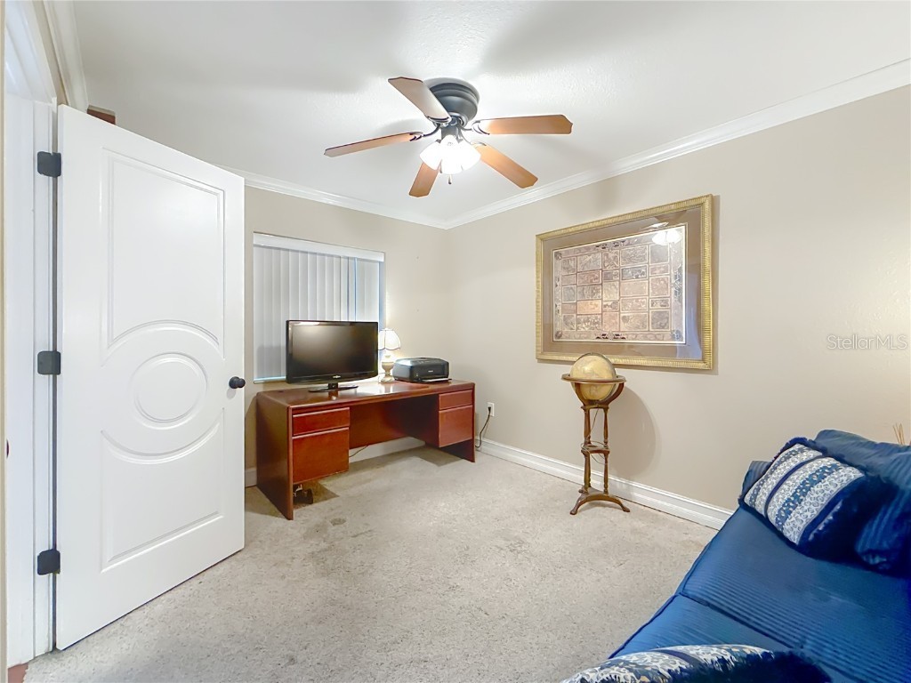 2 Adalia Avenue #802 Tampa FL 33606 TB8449045 image35