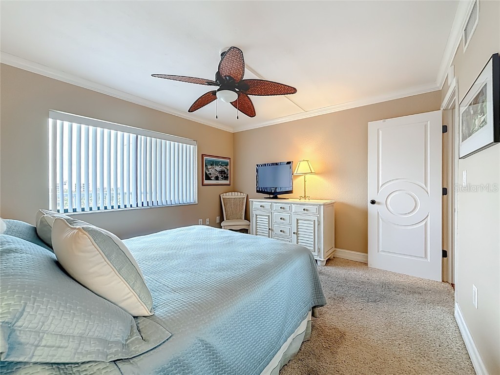 2 Adalia Avenue #802 Tampa FL 33606 TB8449045 image36