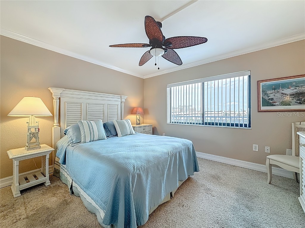 2 Adalia Avenue #802 Tampa FL 33606 TB8449045 image37