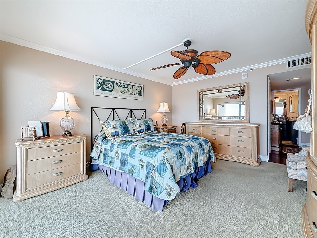 2 Adalia Avenue #802 Tampa FL 33606 TB8449045 image45