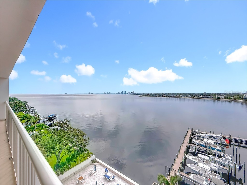 2 Adalia Avenue #802 Tampa FL 33606 TB8449045 image59