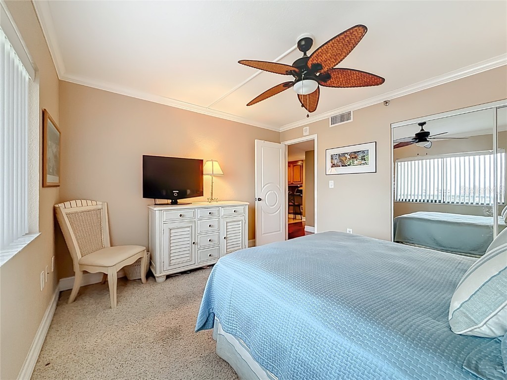 2 Adalia Avenue #802 Tampa FL 33606 TB8449045 image7