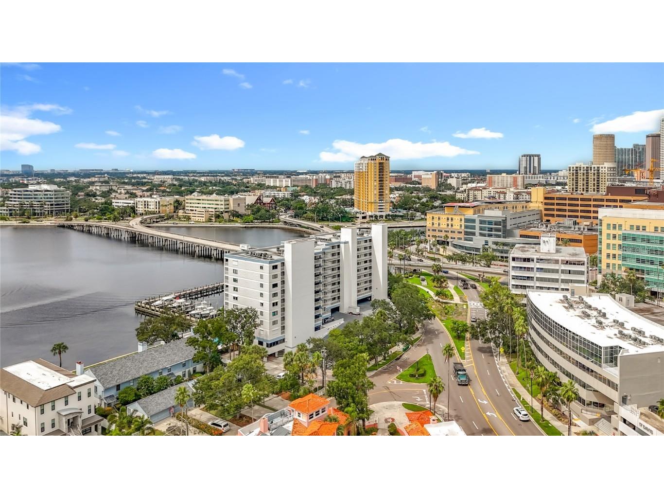 2 Adalia Avenue #802 Tampa FL 33606 TB8449045 image83