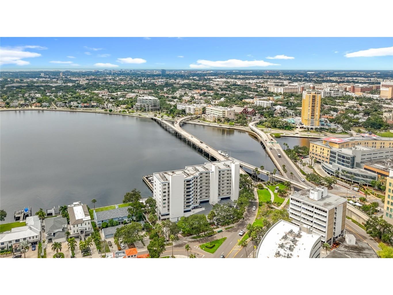 2 Adalia Avenue #802 Tampa FL 33606 TB8449045 image85