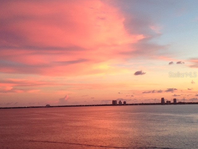 2 Adalia Avenue #802 Tampa FL 33606 TB8449045 image90