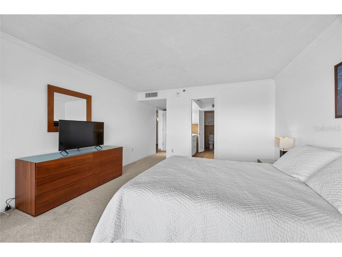 2 Adalia Avenue #807 Tampa FL 33606 - TAMPA BAY TB8448001 image28