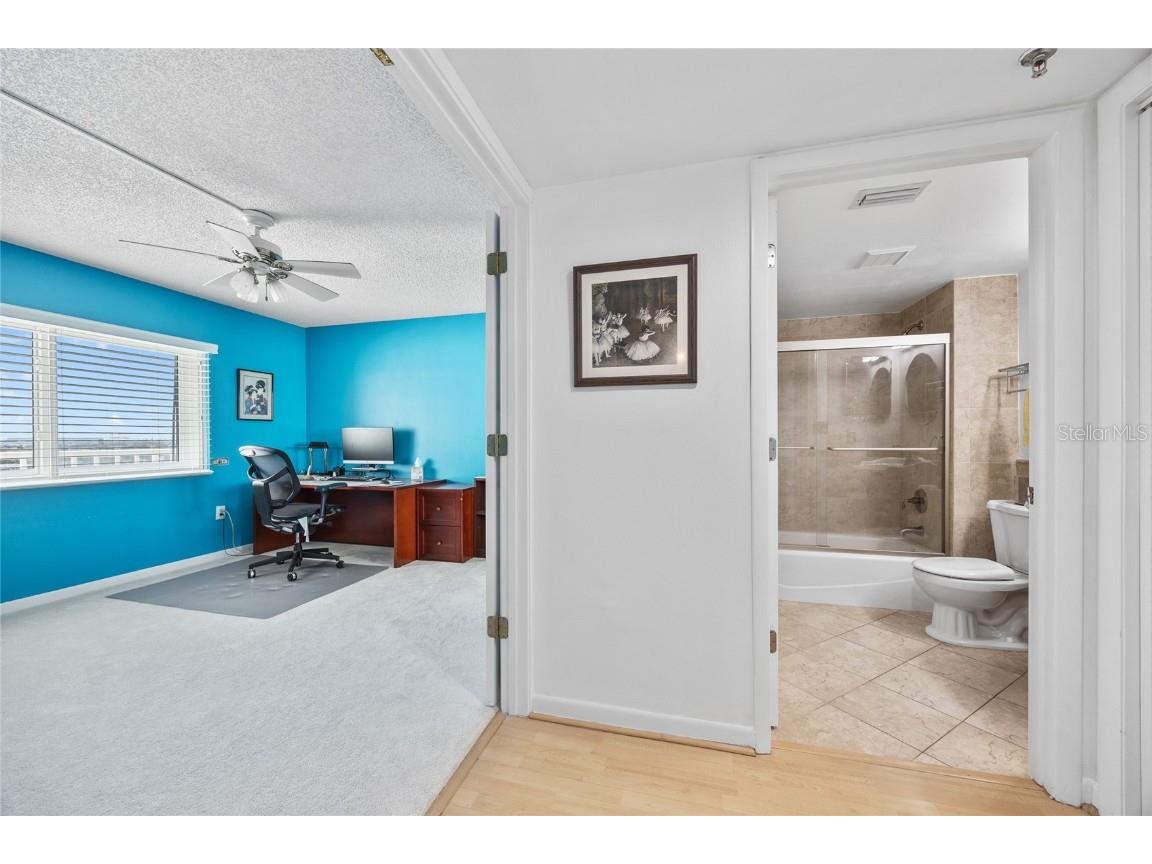 2 Adalia Avenue #807 Tampa FL 33606 - TAMPA BAY TB8448001 image29