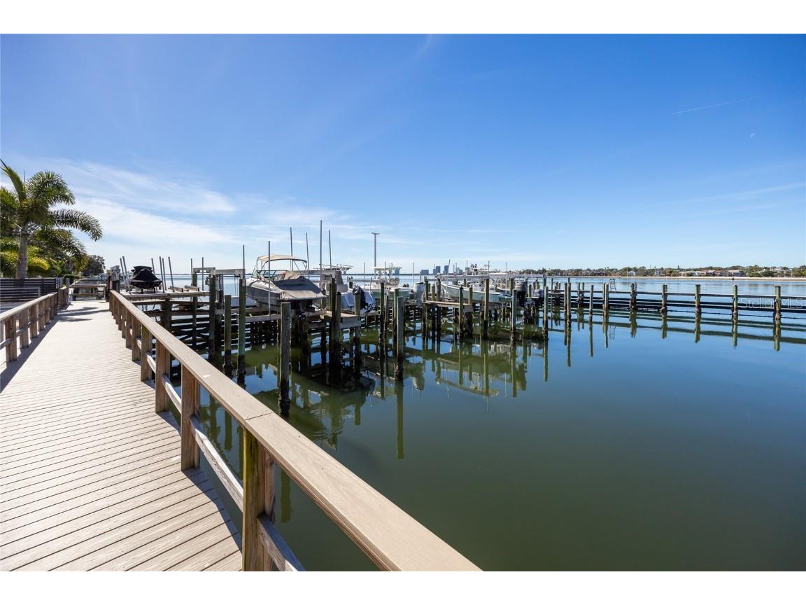 2 Adalia Avenue #807 Tampa FL 33606 - TAMPA BAY TB8448001 image43