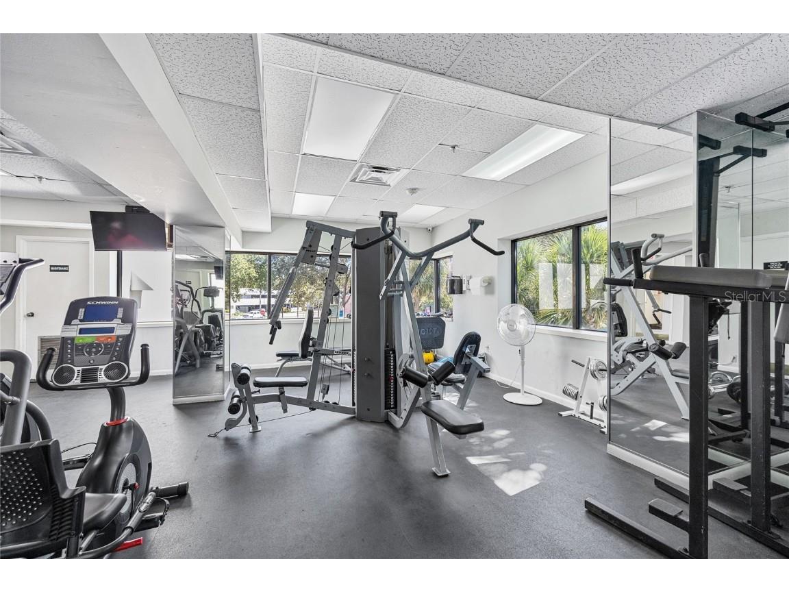 2 Adalia Avenue #807 Tampa FL 33606 - TAMPA BAY TB8448001 image44