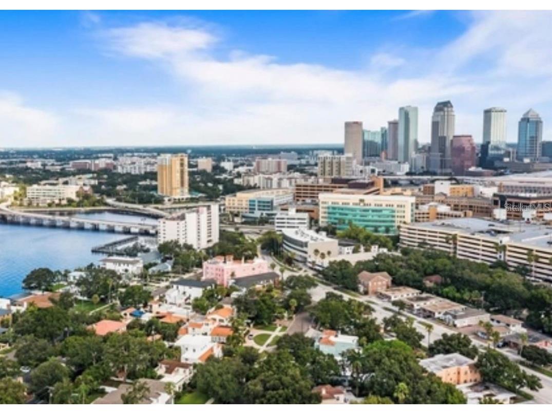2 Adalia Avenue #903 Tampa FL 33606 T3433518 image1