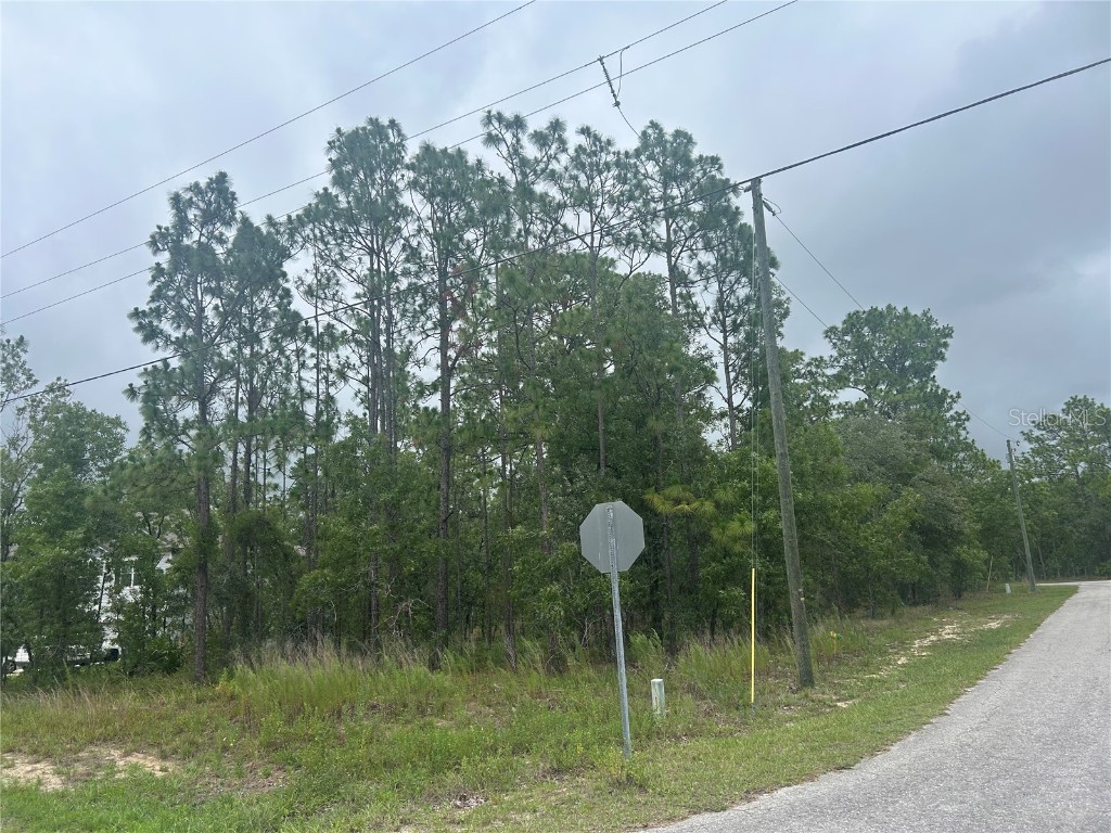 2 Balata Court Homosassa FL 34446 W7876929 image1