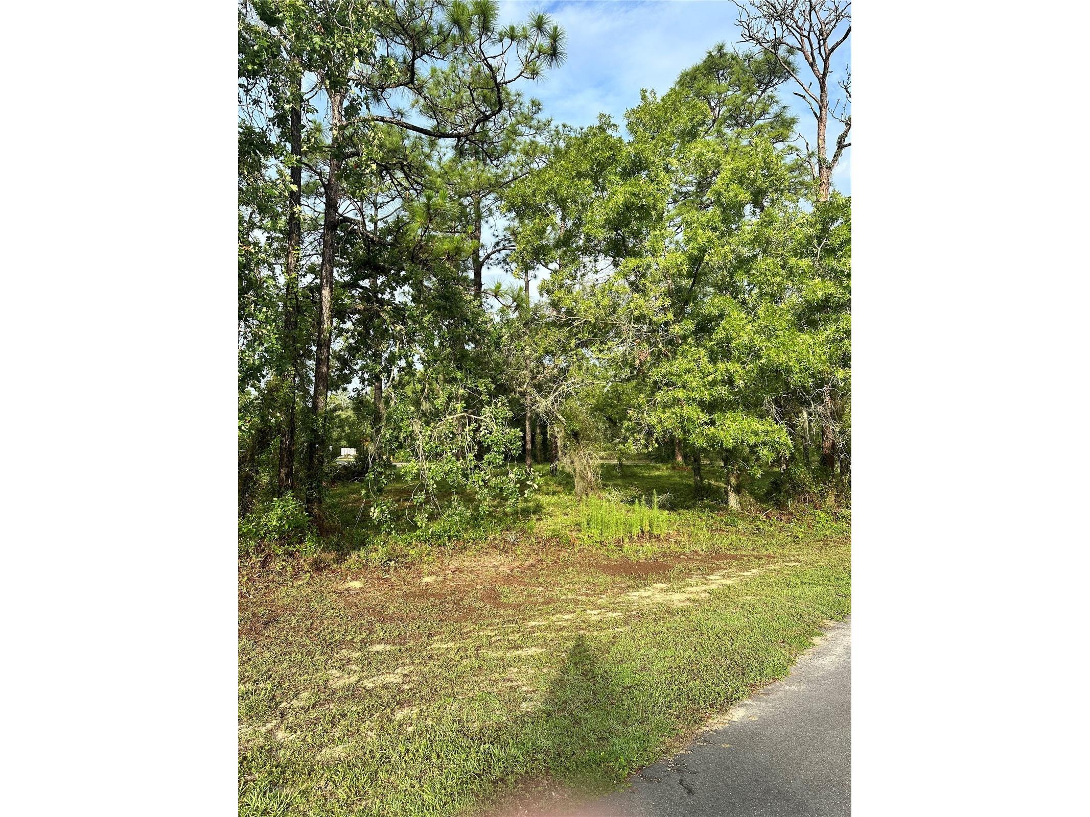 2 Barkwood Point Homosassa FL 34446 W7886185 image1