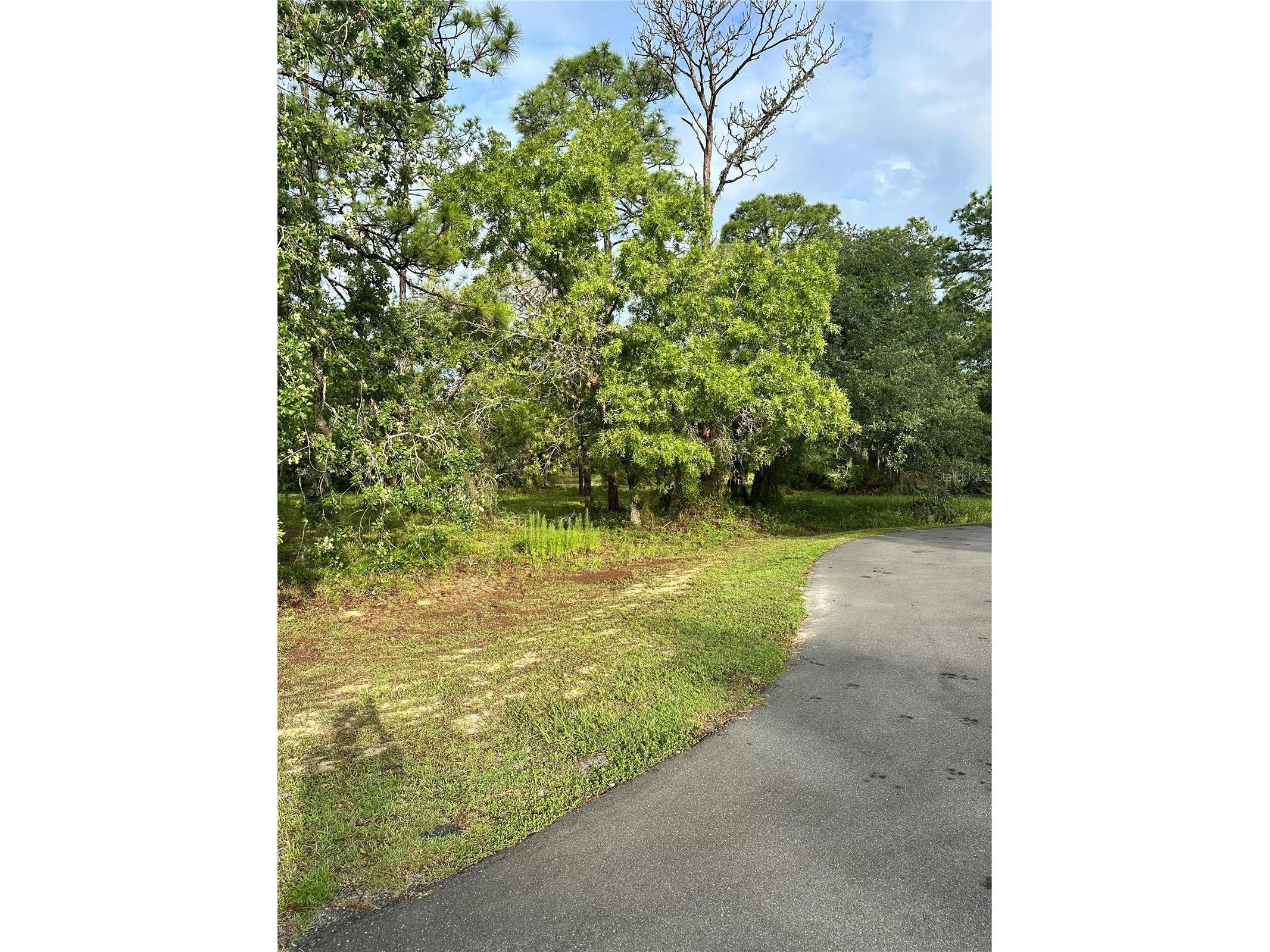 2 Barkwood Point Homosassa FL 34446 W7886185 image2