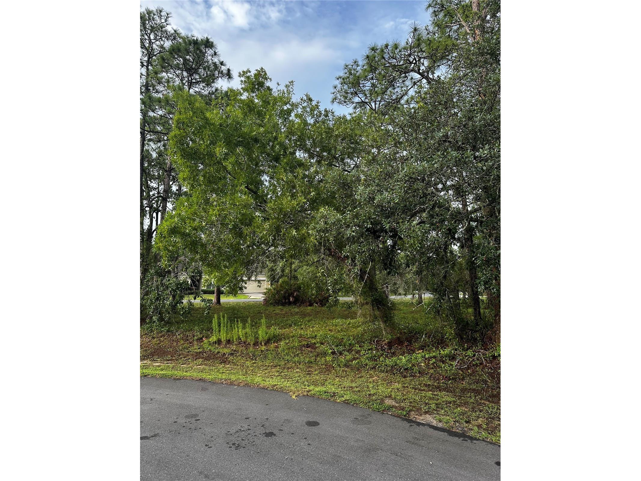 2 Barkwood Point Homosassa FL 34446 W7886185 image3