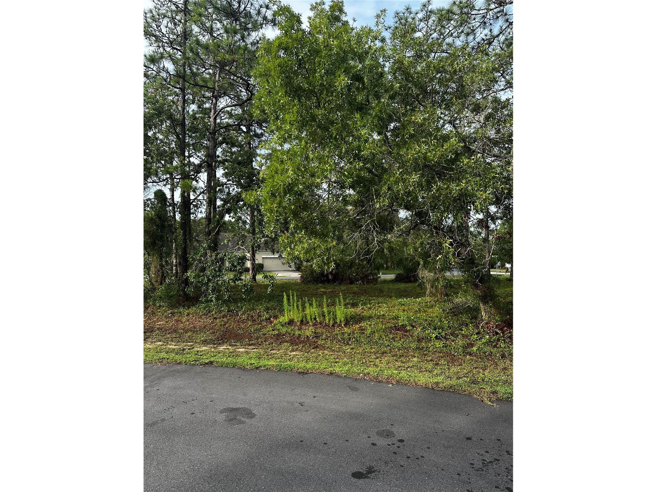 2 Barkwood Point Homosassa FL 34446 W7886185 image4