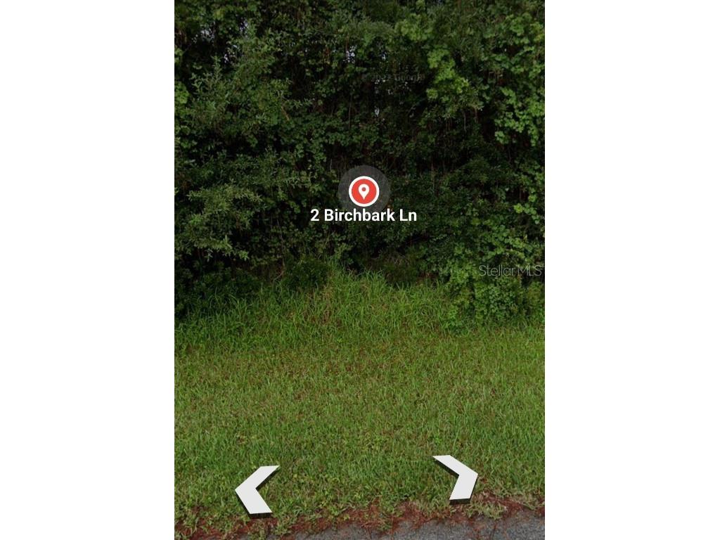 2 Birchbark Lane Palm Coast FL 32137 FC292541 image1