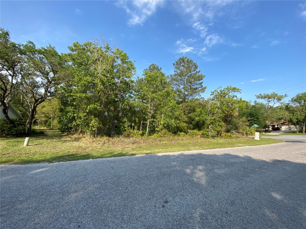 2 Birchtree Street Homosassa FL 34446 T3367185 image1