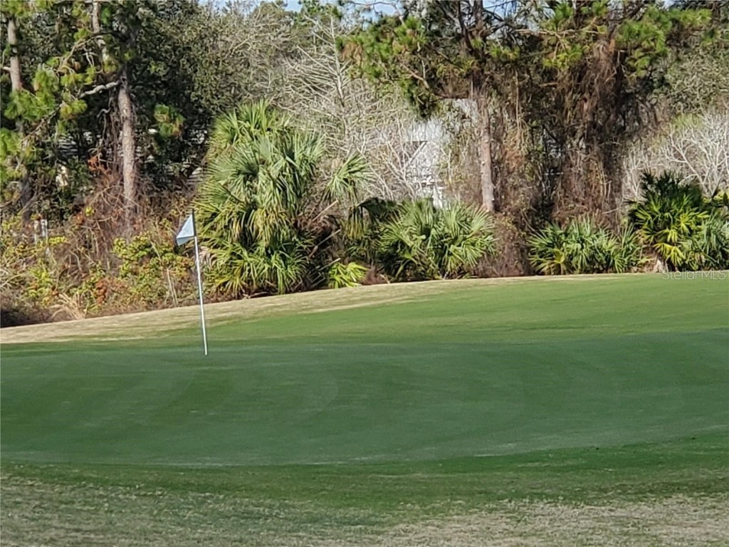 2 Blue Oak Lane Palm Coast FL 32137 FC314118 image14