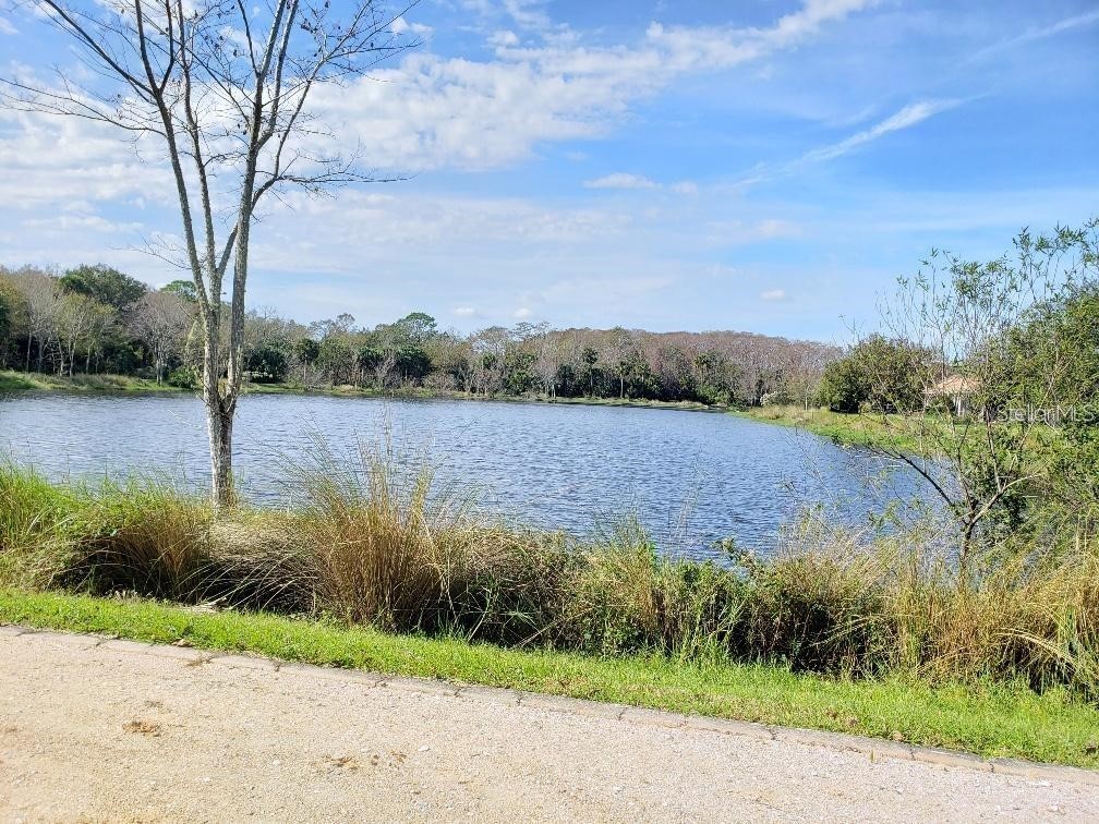 2 Blue Oak Lane Palm Coast FL 32137 FC314118 image6