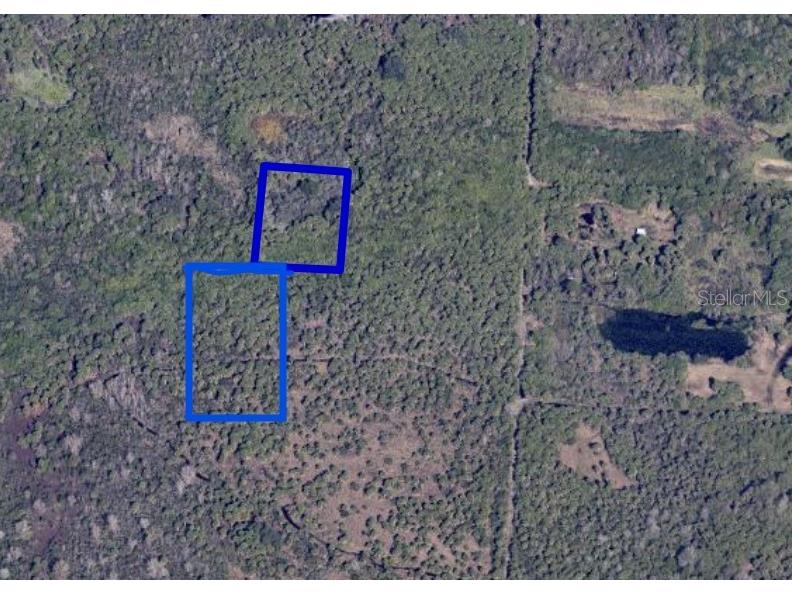 2 Canaveral Groves Cocoa FL 32927 O6242423 image3