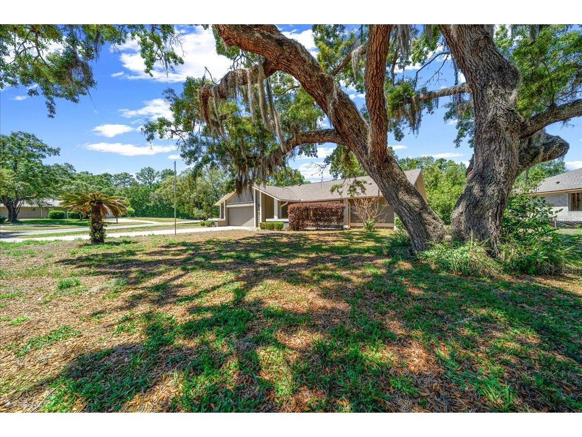 2 Canela Court Homosassa FL 34446 OM724990 image43