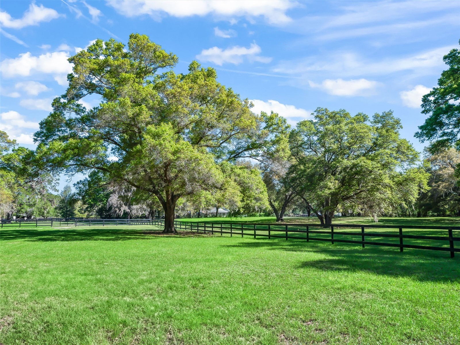 2 Carry Back Road Ocala FL 34482 OM722219 image3