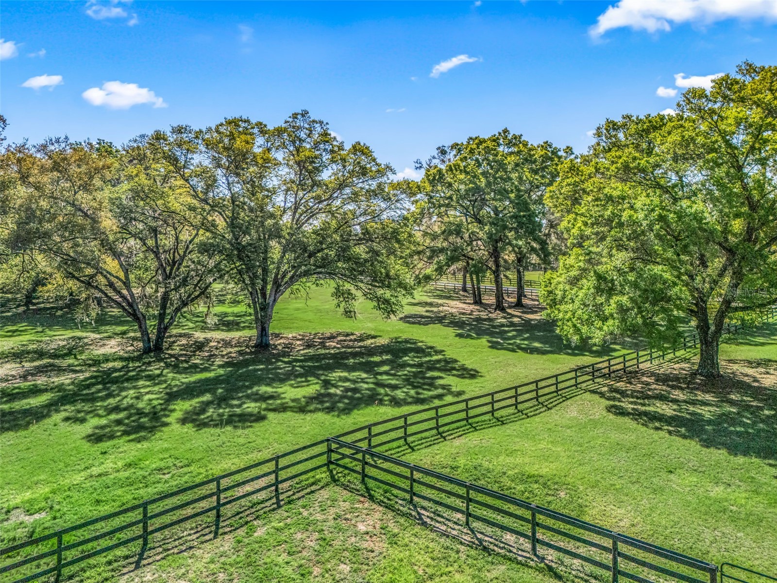 2 Carry Back Road Ocala FL 34482 OM722219 image4