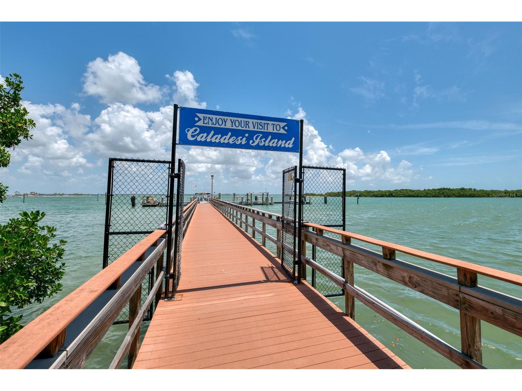 2 Causeway Boulevard #102 Dunedin FL 34698 - GULF OF MEXICO O6418499 image47