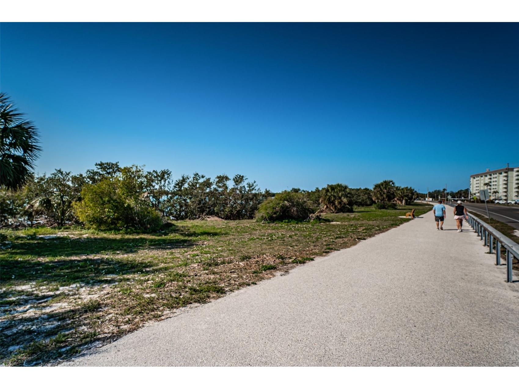 2 Causeway Boulevard #208 Dunedin FL 34698 TB8498012 image39