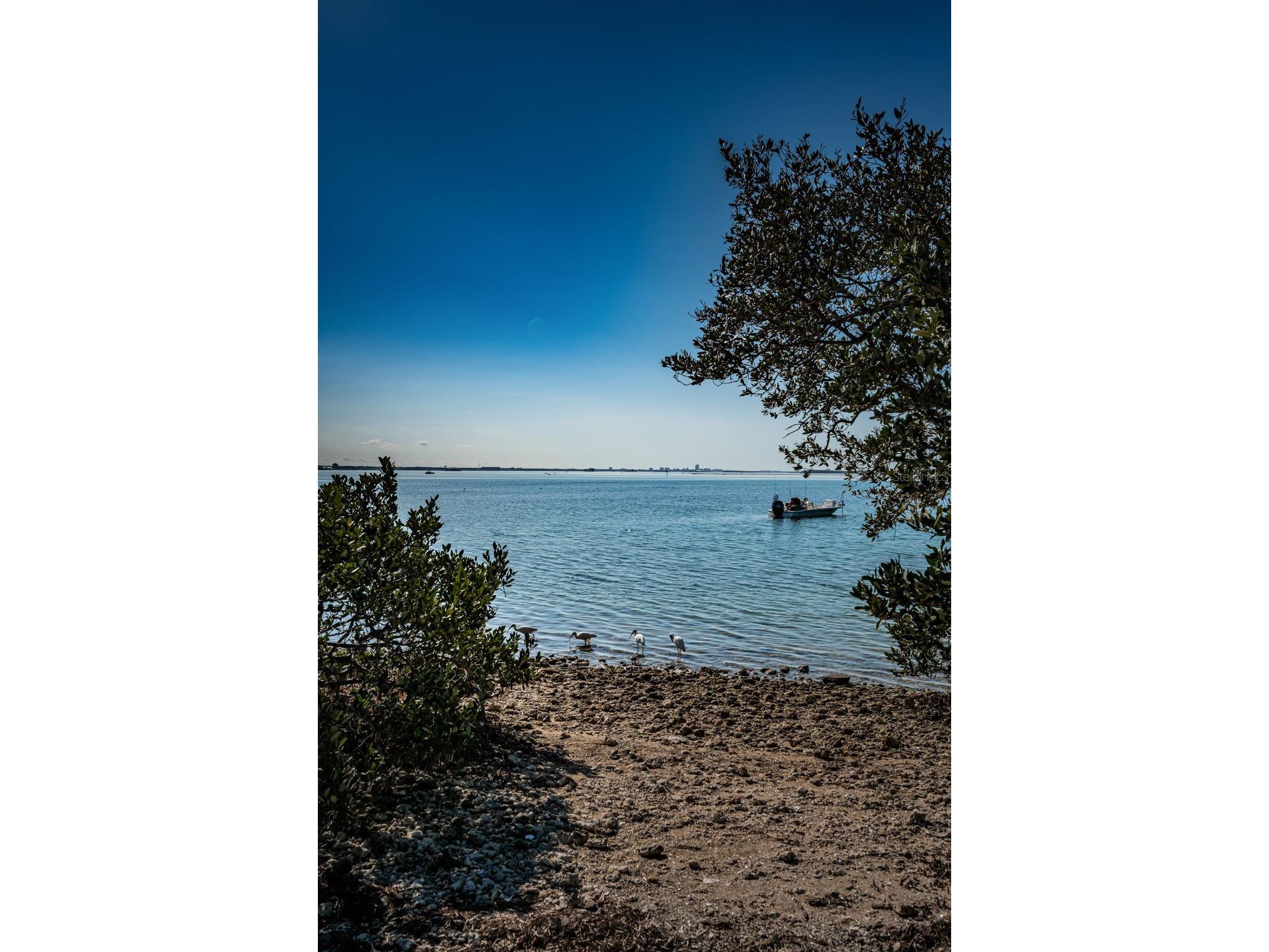 2 Causeway Boulevard #208 Dunedin FL 34698 TB8498012 image42