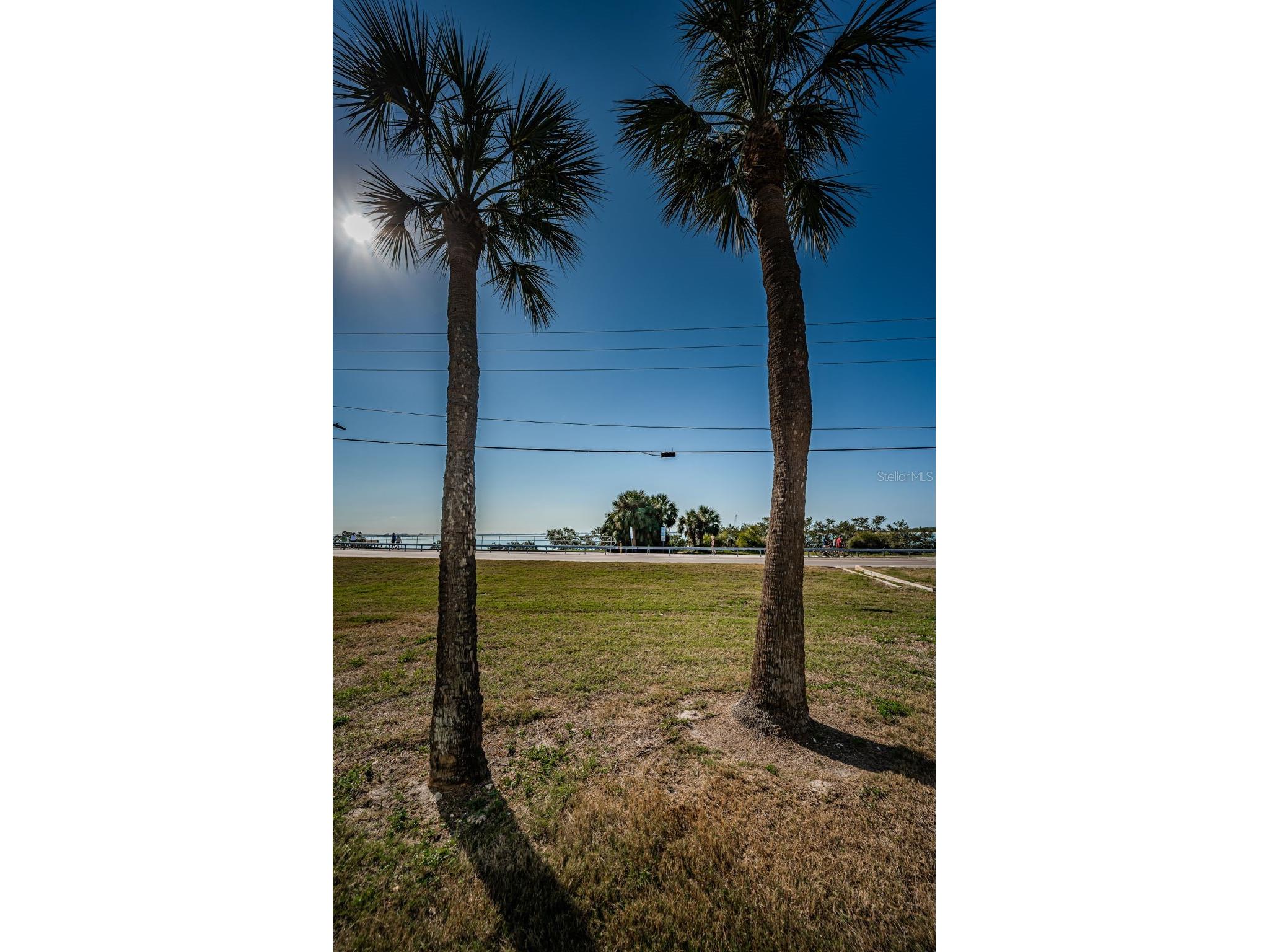 2 Causeway Boulevard #208 Dunedin FL 34698 TB8498012 image47