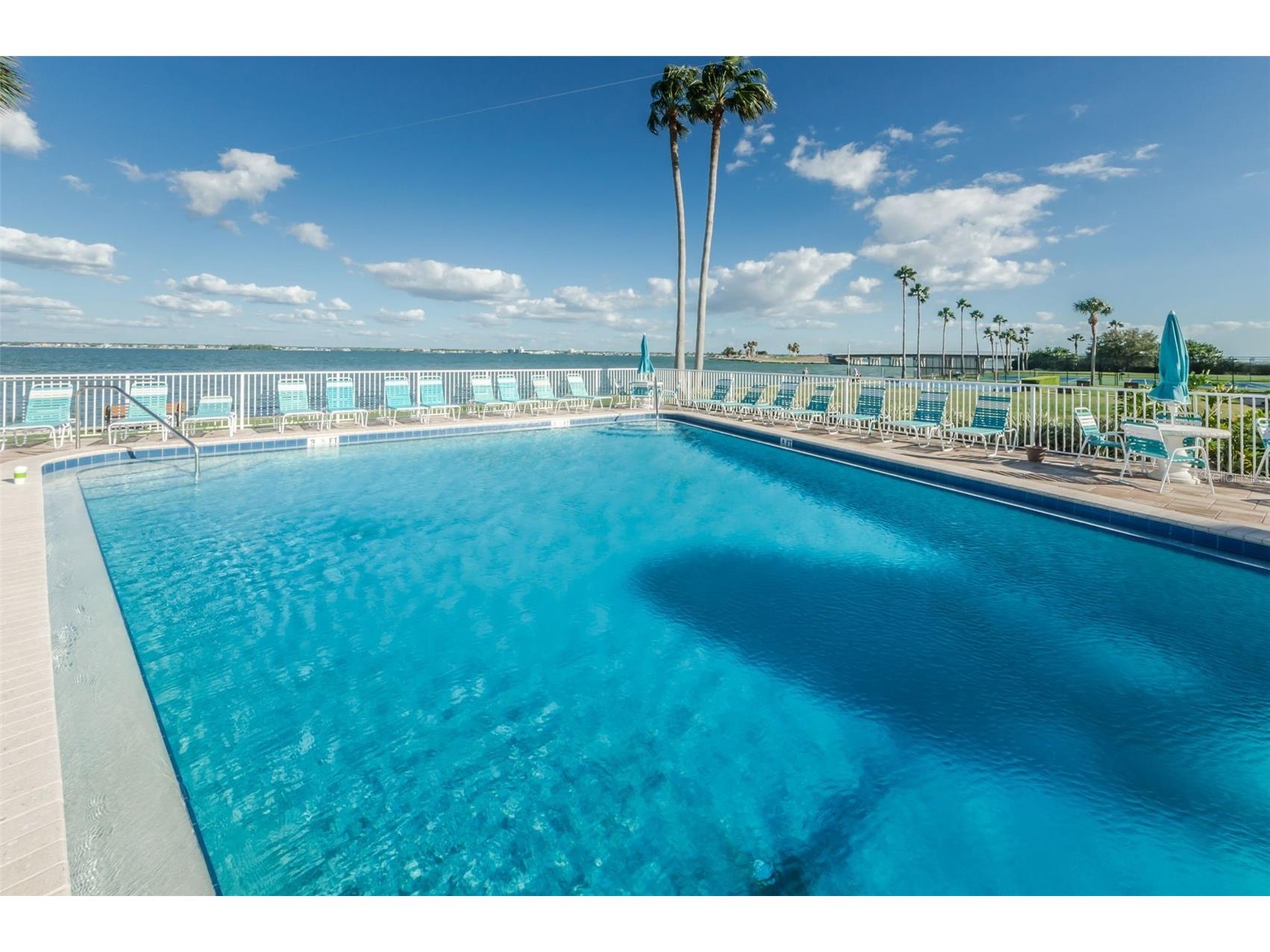 2 Causeway Boulevard #208 Dunedin FL 34698 TB8498012 image79