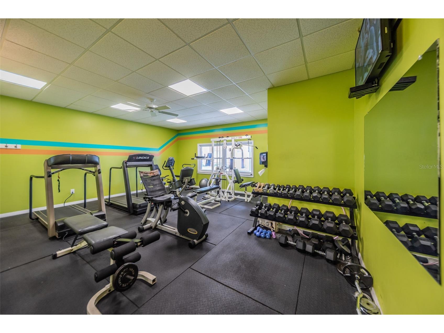 2 Causeway Boulevard #208 Dunedin FL 34698 TB8498012 image91