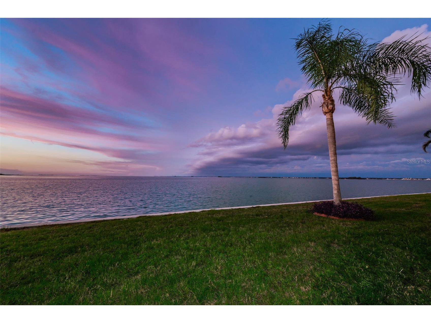 2 Causeway Boulevard #208 Dunedin FL 34698 TB8498012 image99