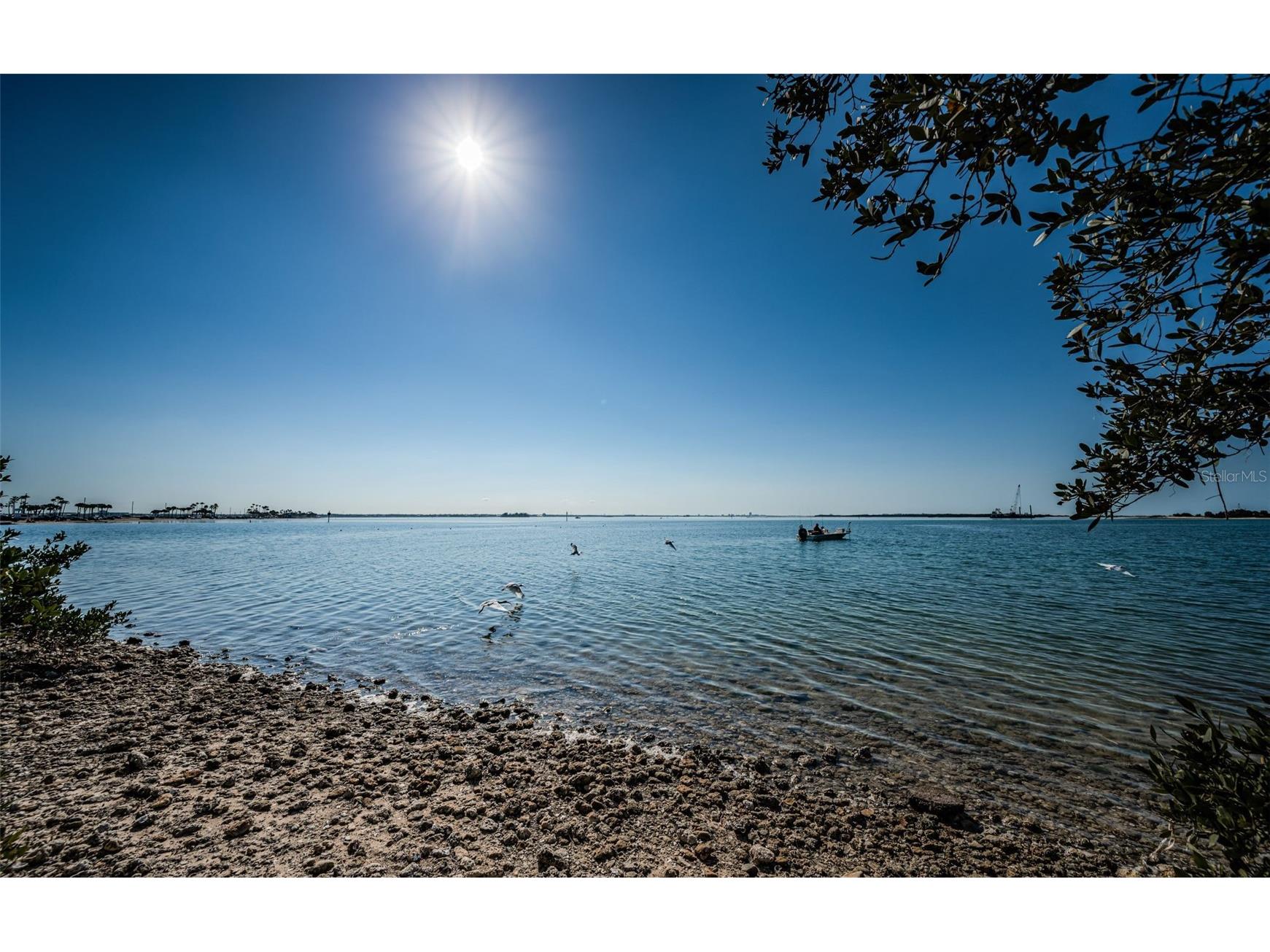 2 Causeway Boulevard #208 Dunedin FL 34698 - GULF OF AMERICA TB8501555 image2