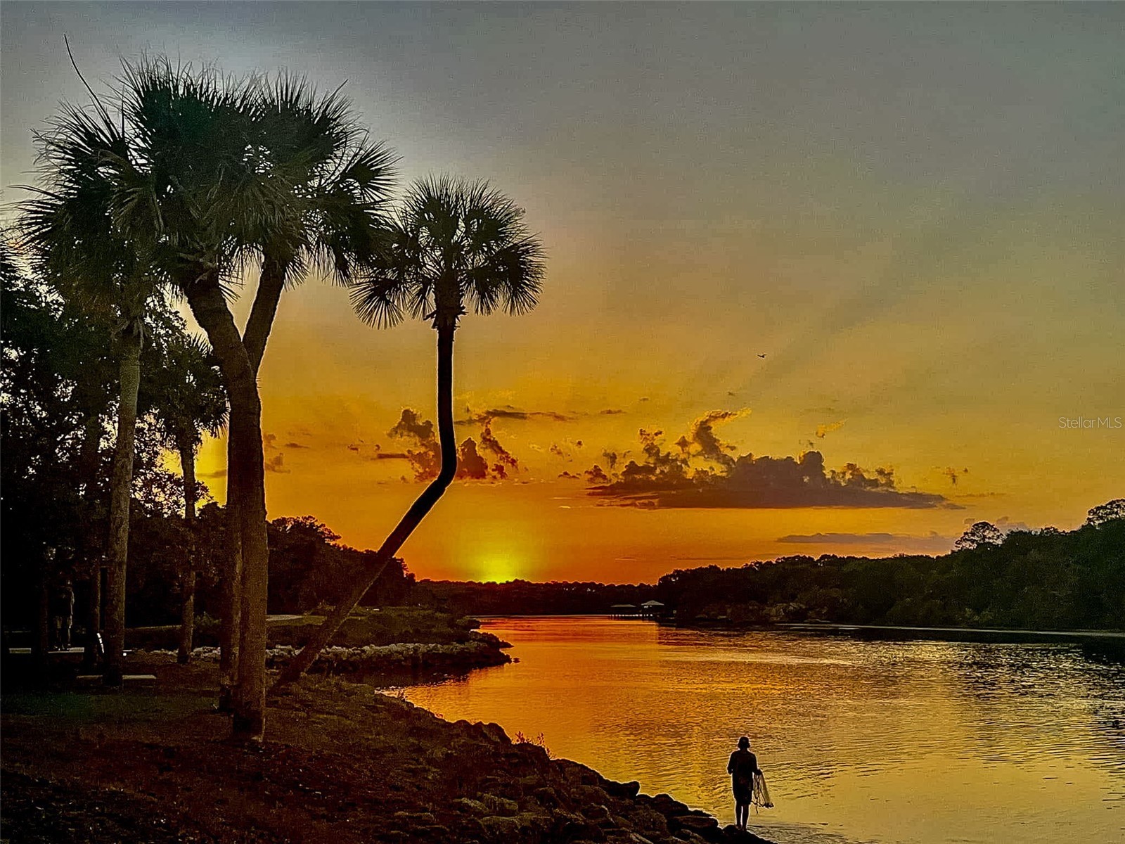 2 Claymont Court S Palm Coast FL 32137 - MATANZAS RIVER S5146515 image91