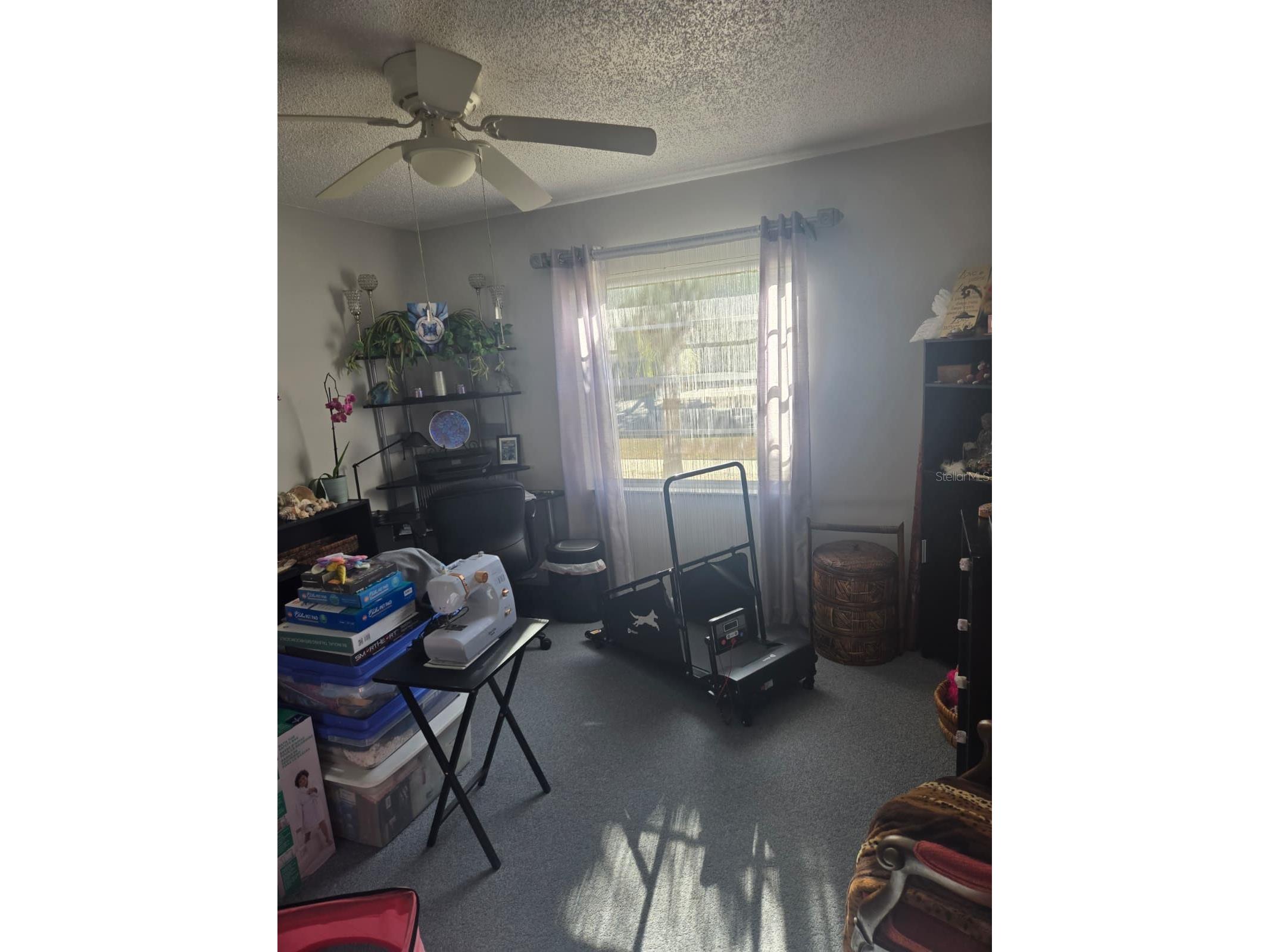 2 Fawn Lane Palm Coast FL 32137 FC315680 image11