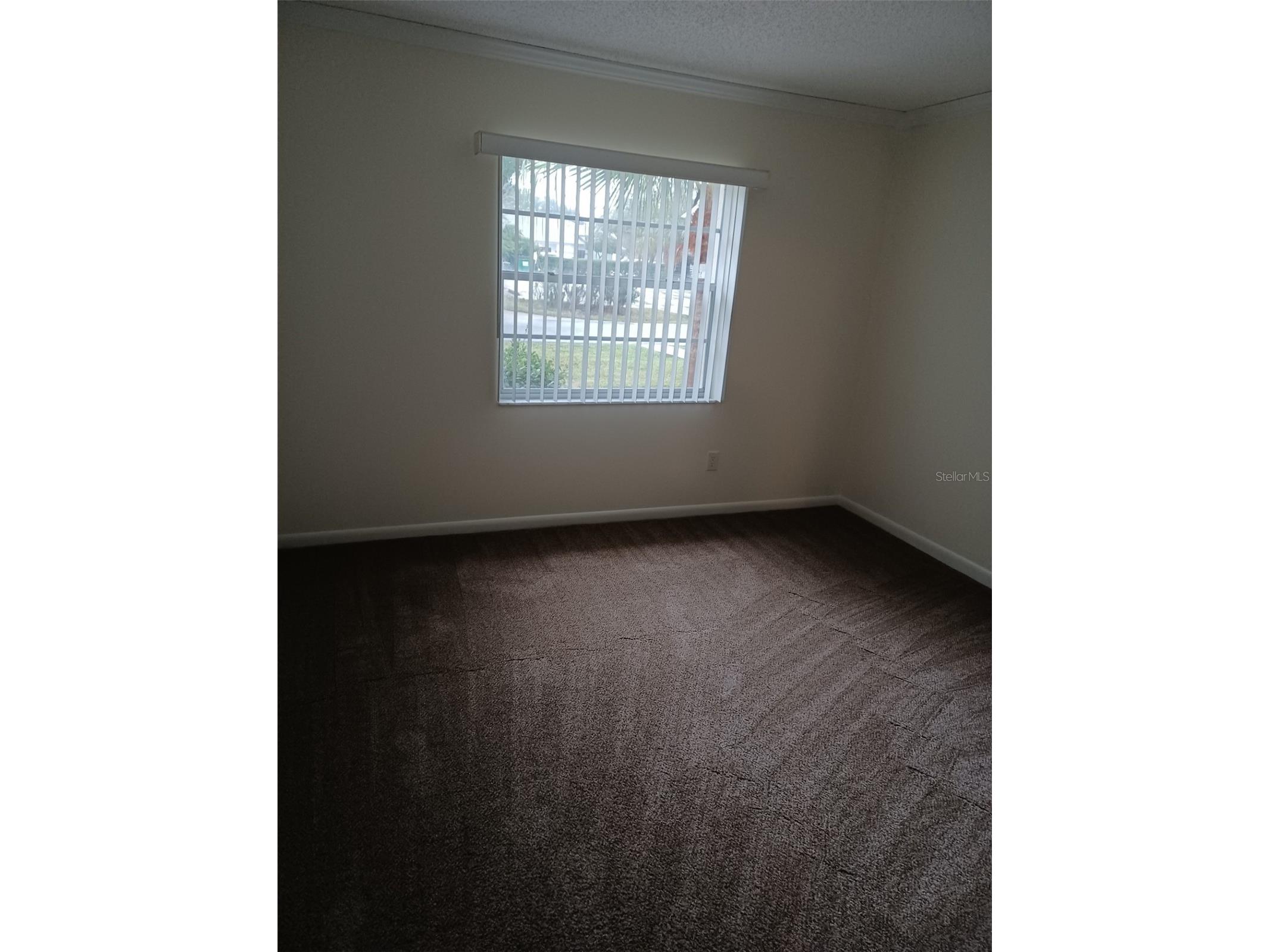 2 Fawn Lane Palm Coast FL 32137 FC315680 image33