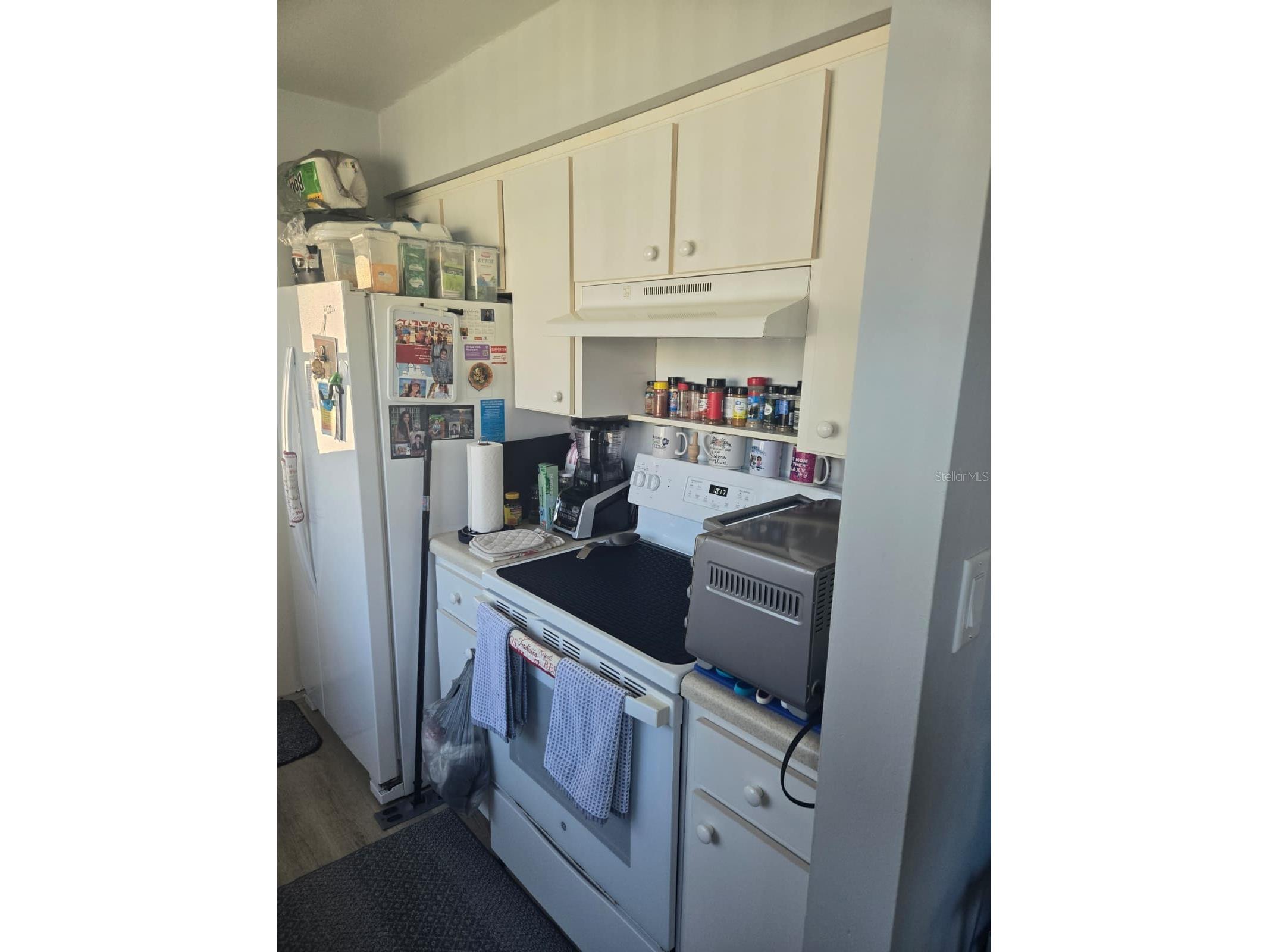 2 Fawn Lane Palm Coast FL 32137 FC315680 image5