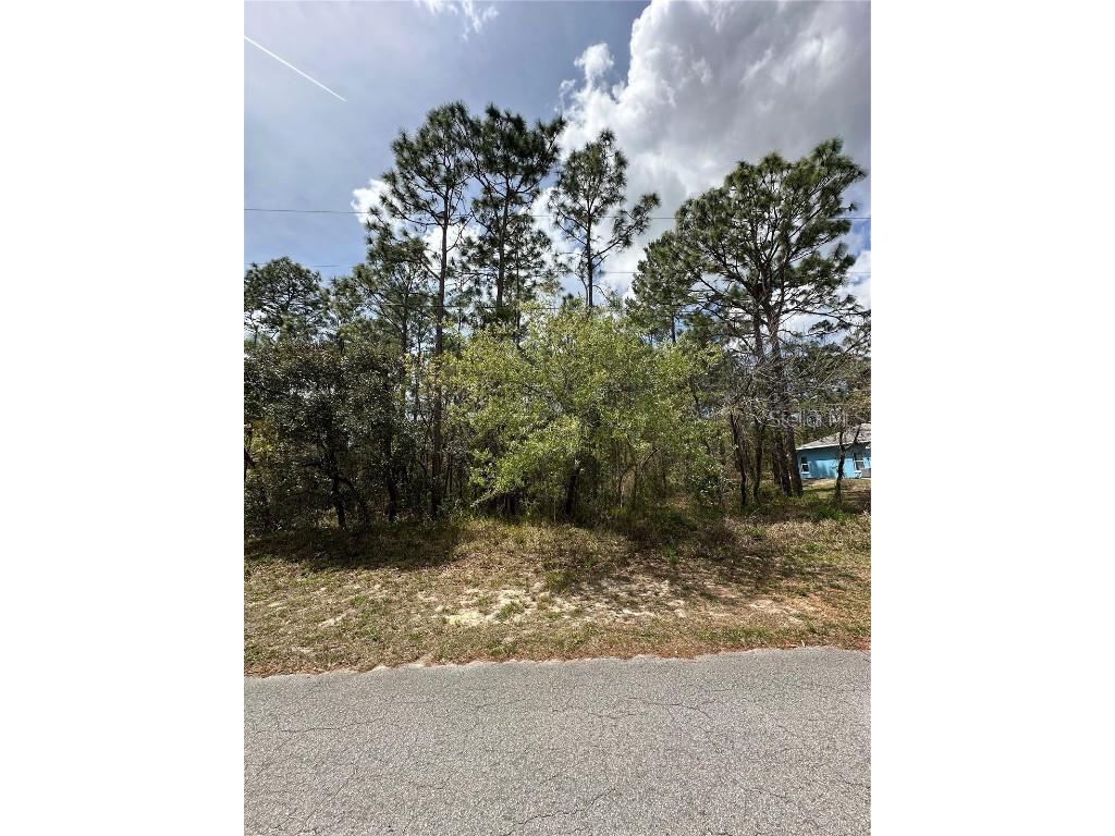 2 Fringetree Court Homosassa FL 34446 TB8366188 image1