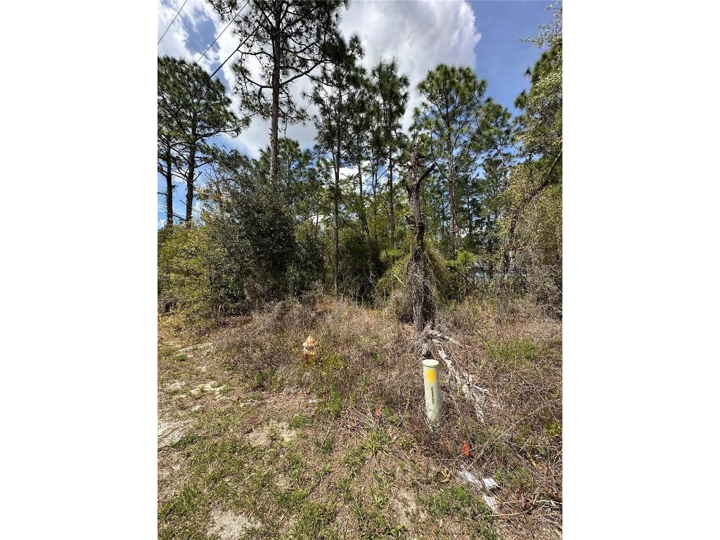 2 Fringetree Court Homosassa FL 34446 TB8366188 image10