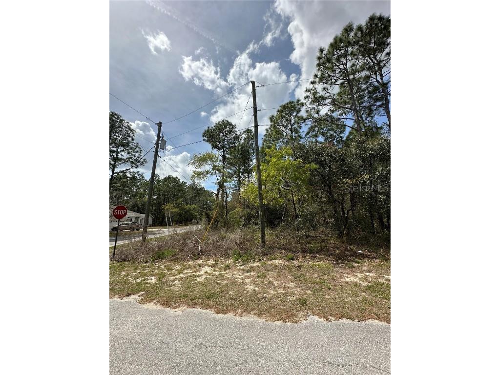 2 Fringetree Court Homosassa FL 34446 TB8366188 image2