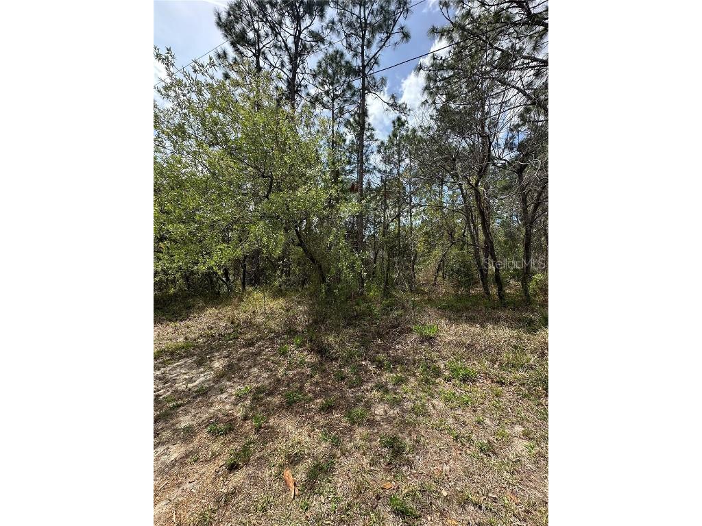 2 Fringetree Court Homosassa FL 34446 TB8366188 image3